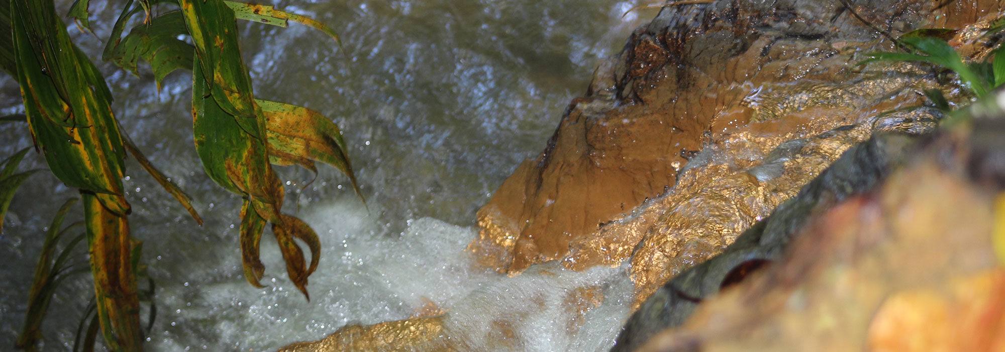 Stream rushing over golden rocks