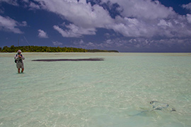 Inshore fishing in Tobago